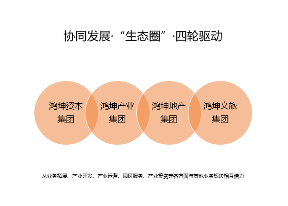 滚球体育（中国）科技有限公司四大产业板块协同发展